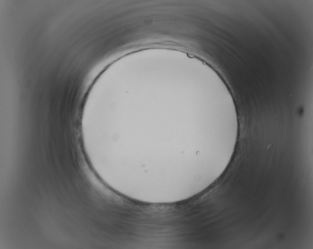 X0000115811531200912241903