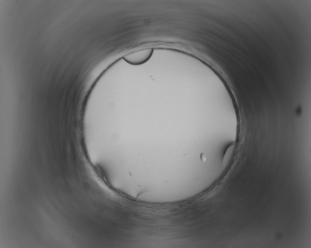 X0000115811533200912241903