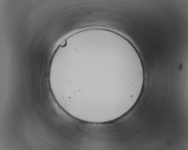 X0000115811534200912241903
