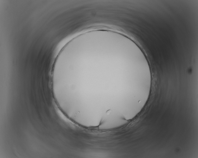 X0000115811535200912241903