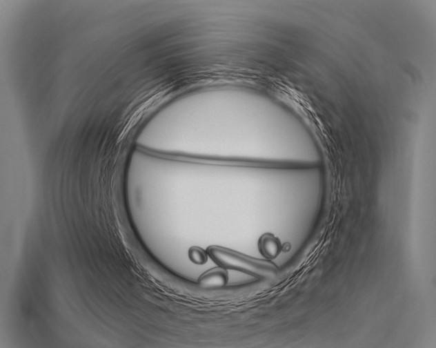 X0000115820001200911131116