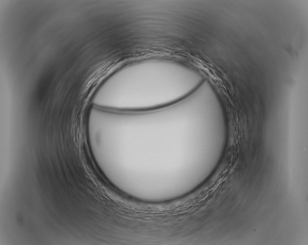 X0000115820002200911131116