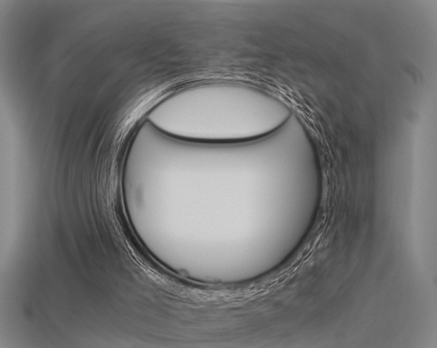 X0000115820005200911131116