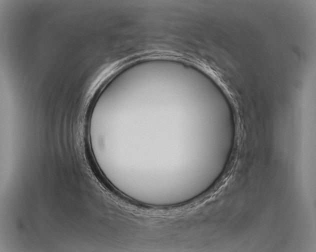 X0000115820007200911131116