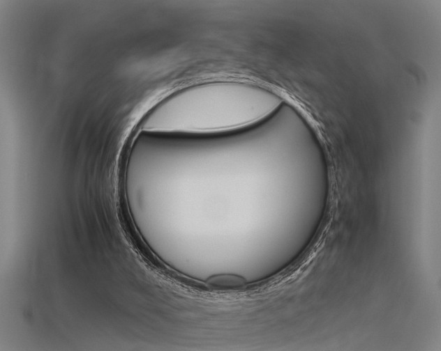 X0000115820008200911131116