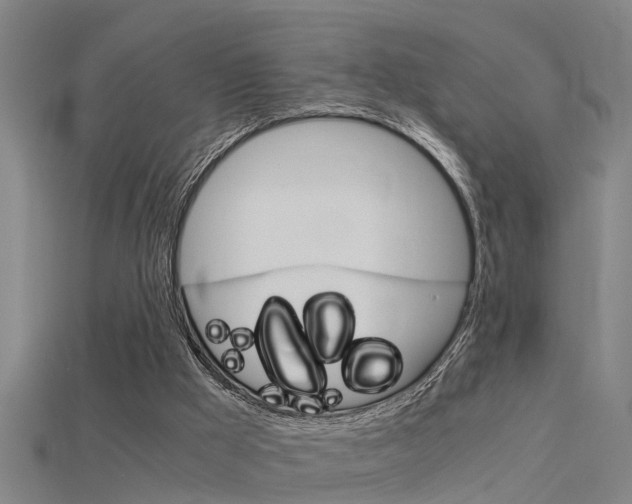 X0000115820009200911131116