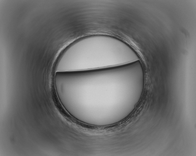 X0000115820012200911131116