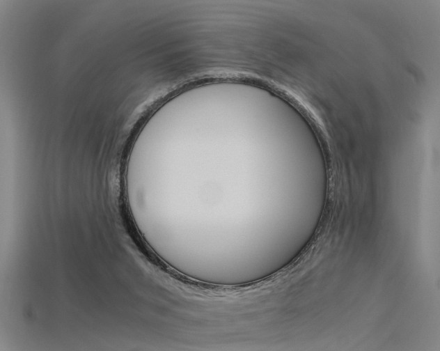 X0000115820015200911131116