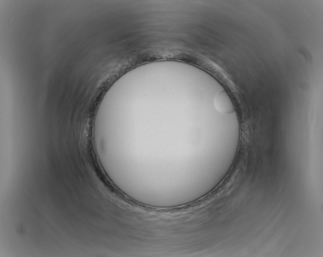 X0000115820018200911131116