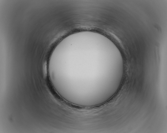 X0000115820020200911131116