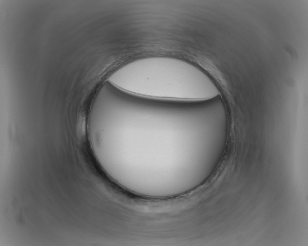 X0000115820021200911131116