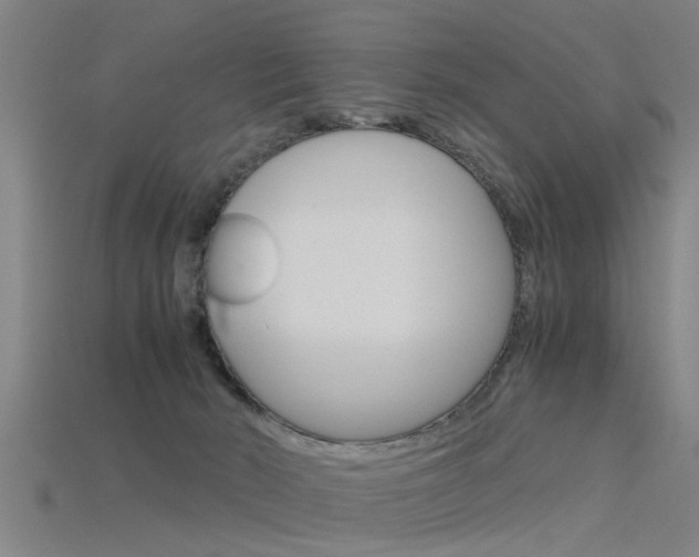 X0000115820030200911131116