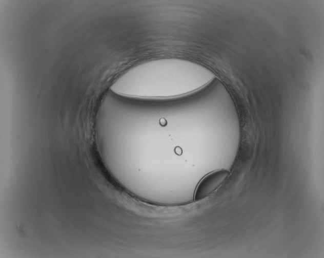 X0000115820031200911131116