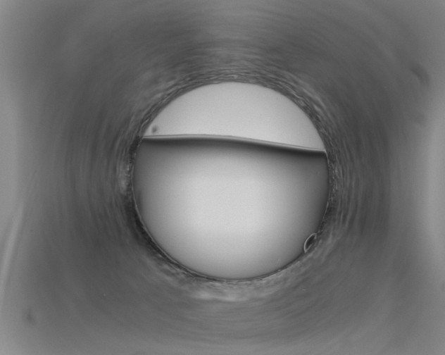 X0000115820033200911131116