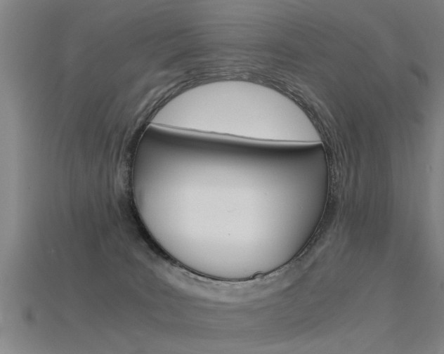 X0000115820035200911131116