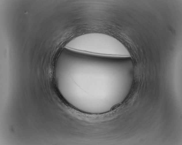 X0000115820039200911131116