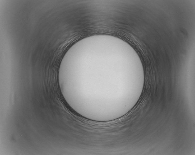 X0000115820043200911131116