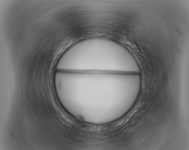 X0000115820049200911131115