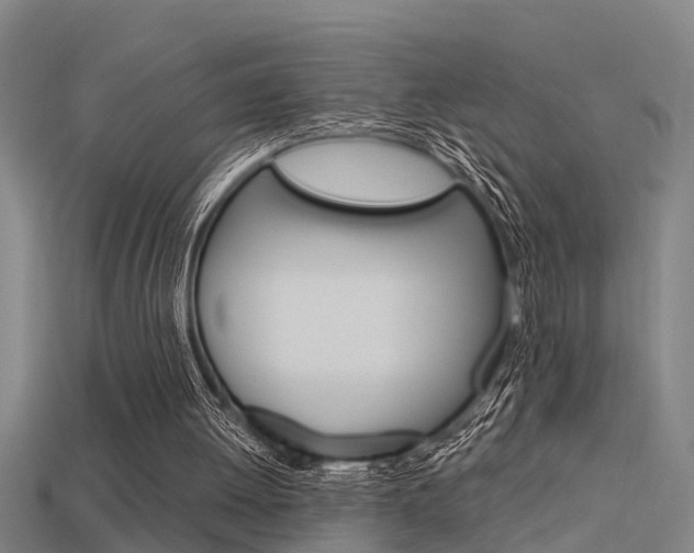 X0000115820052200911131115