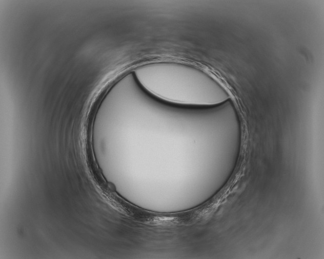 X0000115820055200911131115