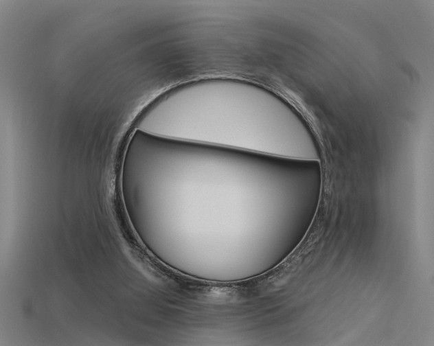 X0000115820060200911131115