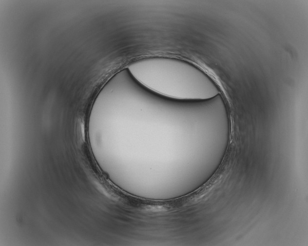 X0000115820061200911131115