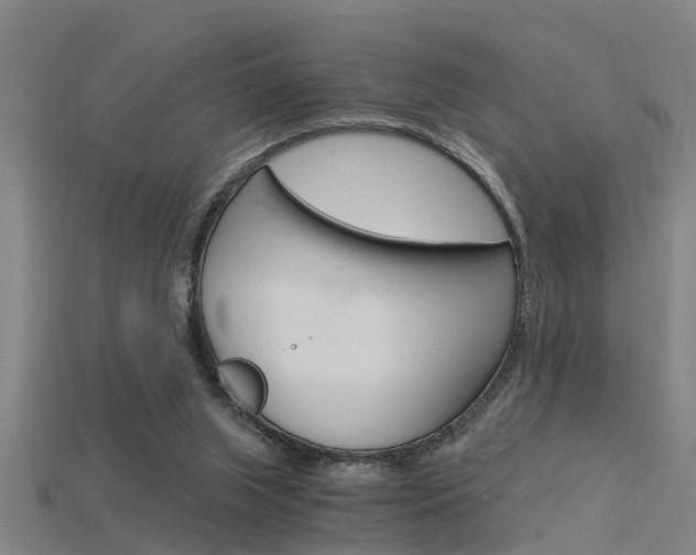 X0000115820063200911131115