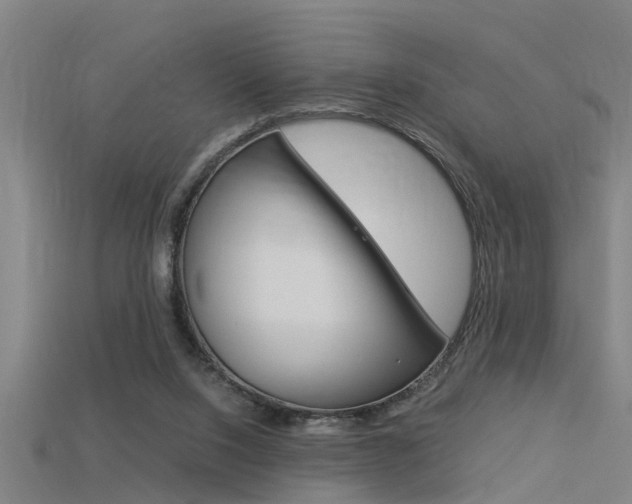 X0000115820064200911131115