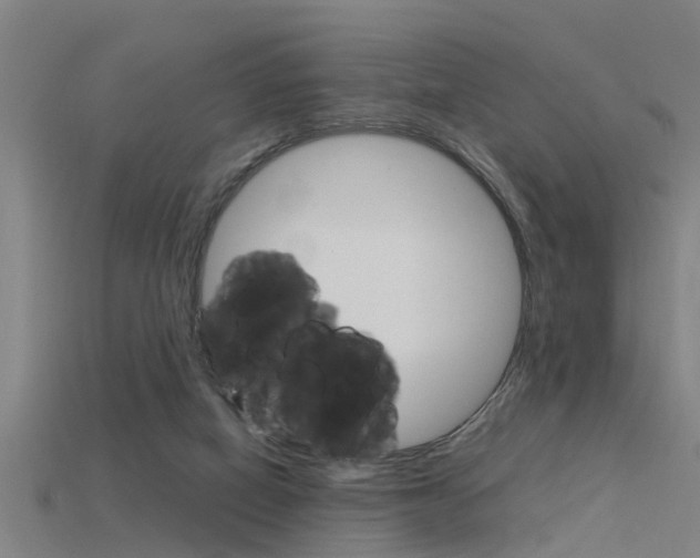 X0000115820066200911131115