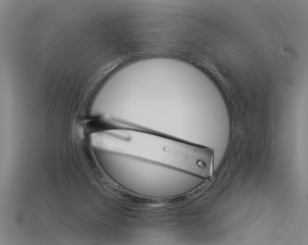 X0000115820068200911131115