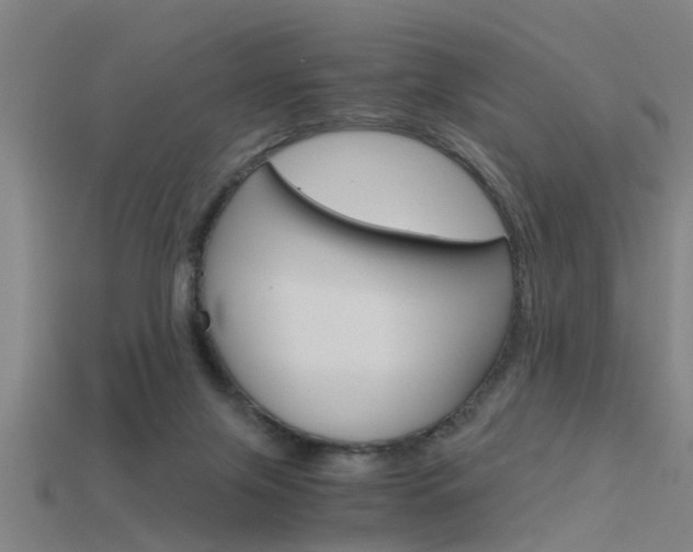 X0000115820071200911131115