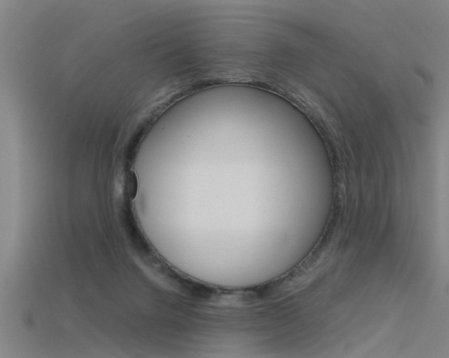 X0000115820072200911131115