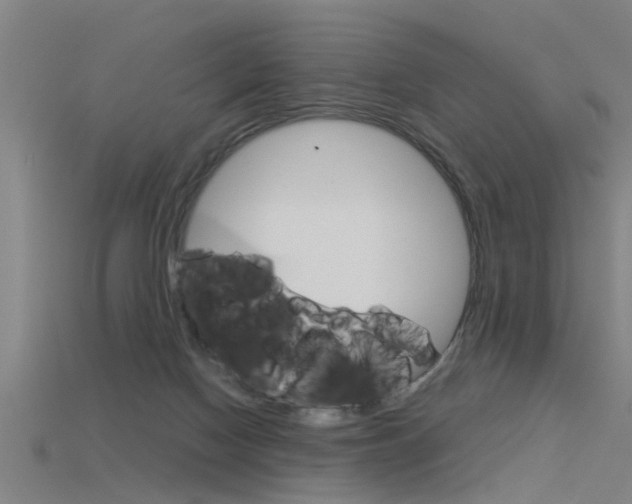 X0000115820074200911131115