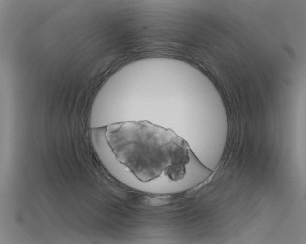 X0000115820078200911131115