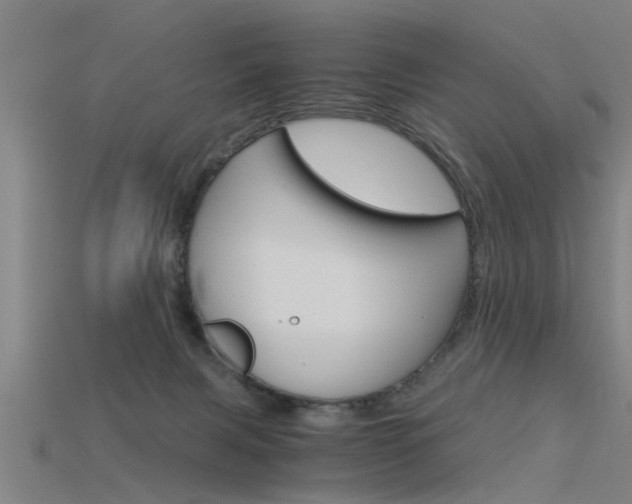 X0000115820079200911131115