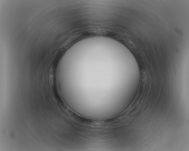 X0000115820080200911131115