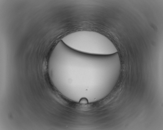 X0000115820081200911131115