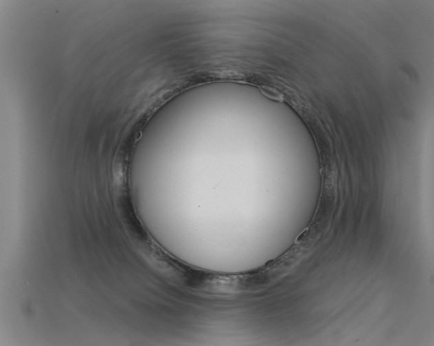 X0000115820084200911131115