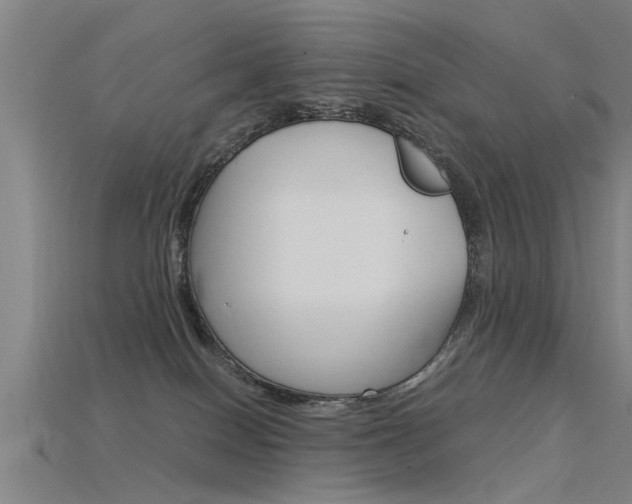 X0000115820086200911131115