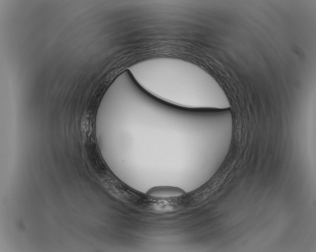 X0000115820091200911131115