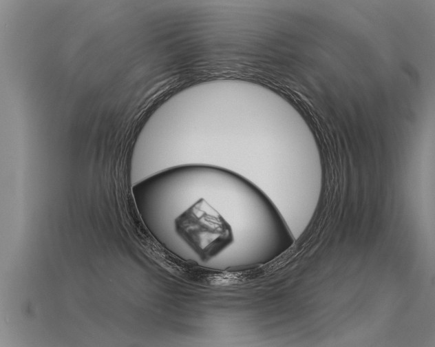 X0000115820092200911131116