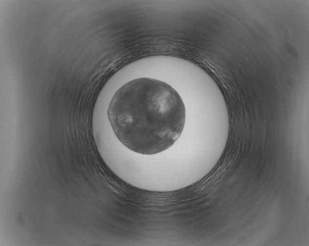 X0000115820093200911131116