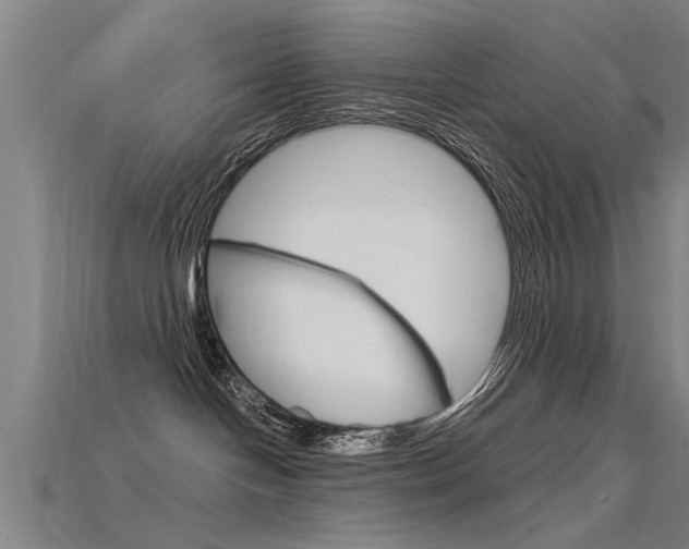 X0000115820094200911131116