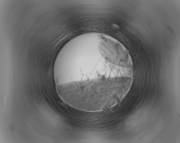 X0000115820095200911131116