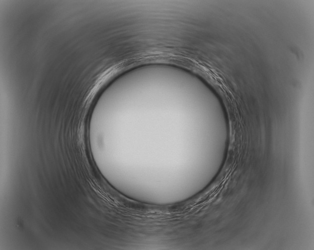 X0000115820099200911131115