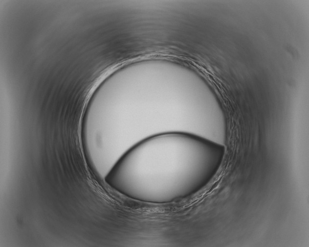 X0000115820100200911131115