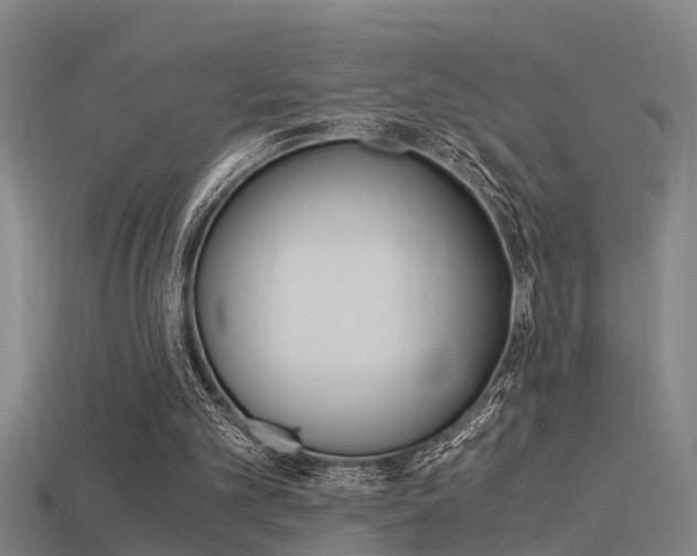 X0000115820101200911131115