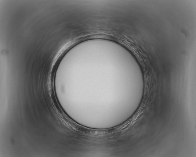 X0000115820102200911131115