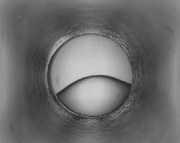 X0000115820104200911131115