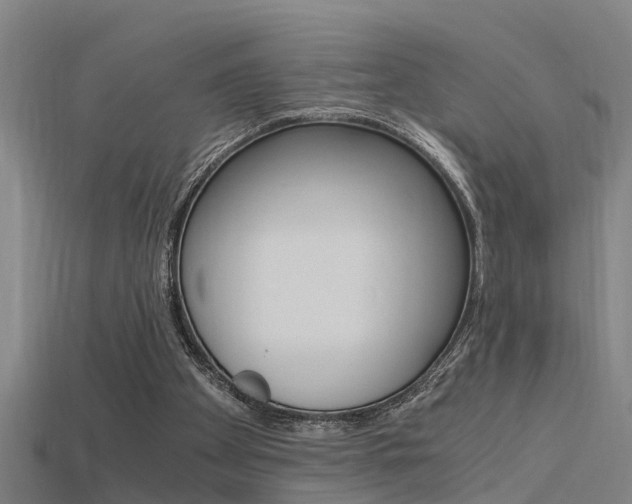 X0000115820105200911131115